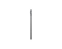 Samsung Galaxy Tab S10 Lite 5G LTE-TDD & LTE-FDD 256 GB 27.7 cm (10.9") 8 GB Wi-Fi 6 (802.11ax) Grey
