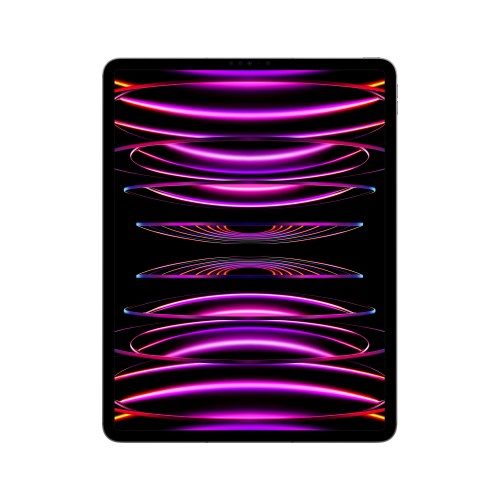 MP263B/A | Apple iPad Pro 6th Gen 12.9in Wi-Fi + Cellular 2000GB - Space Grey