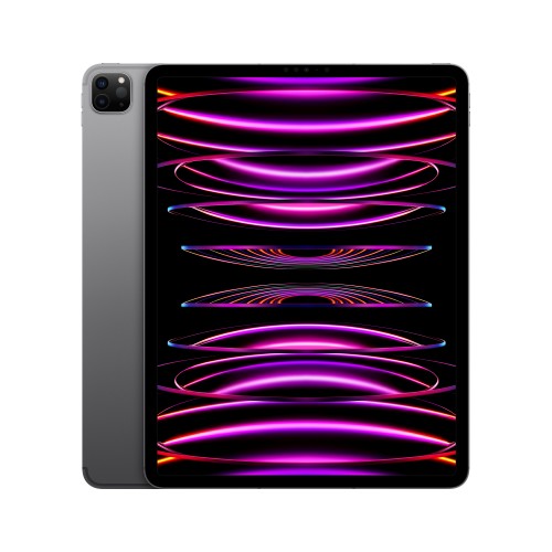 MP263B/A | Apple iPad Pro 6th Gen 12.9in Wi-Fi + Cellular 2000GB - Space Grey