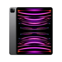 Apple iPad Pro 6th Gen 12.9in Wi-Fi + Cellular 2000GB - Space Grey