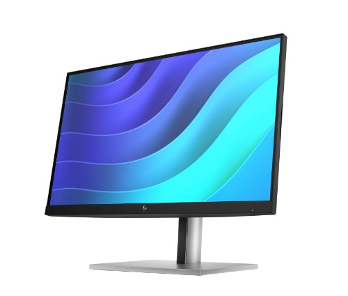 6N4E8E9#ABU | HP E22 G5 FHD Monitor
